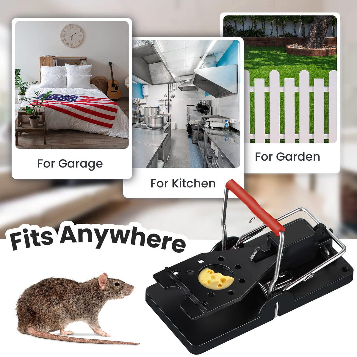 Qualirey easy-clean quick-reset trap supports efficient pest control.