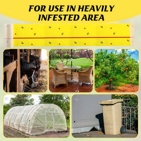 Qualirey easy installation pet-safe design minimizes risk while trapping nuisance insects.