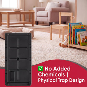 Qualirey adhesive traps endure cold and wet conditions while staying sticky