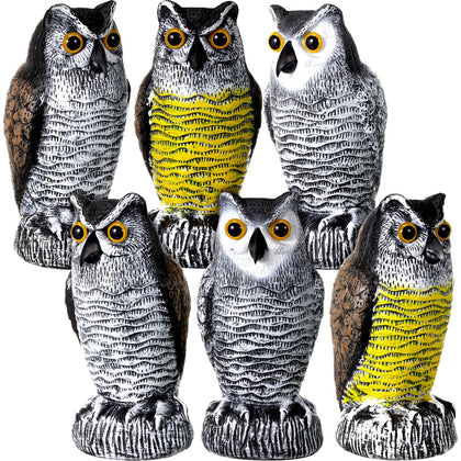 Qualirey fake owl decoy in garden deters birds and protects plants.