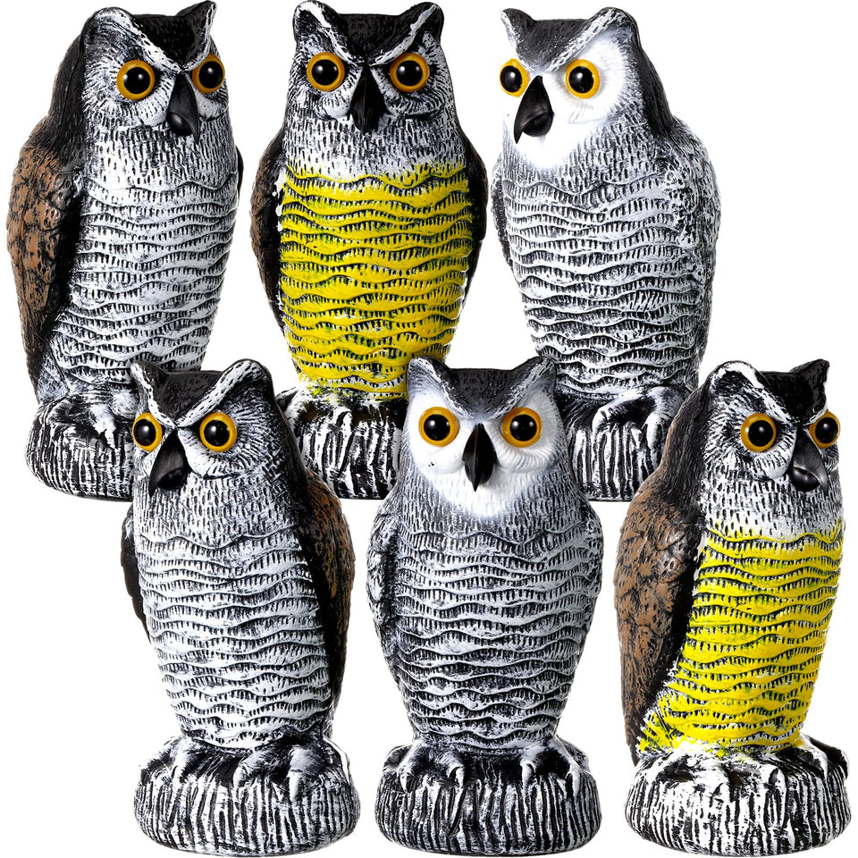 Qualirey fake owl decoy in garden deters birds and protects plants.