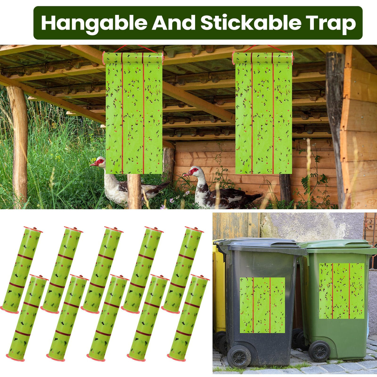 Qualirey fly trap captures flies, gnats, and mosquitoes effectively