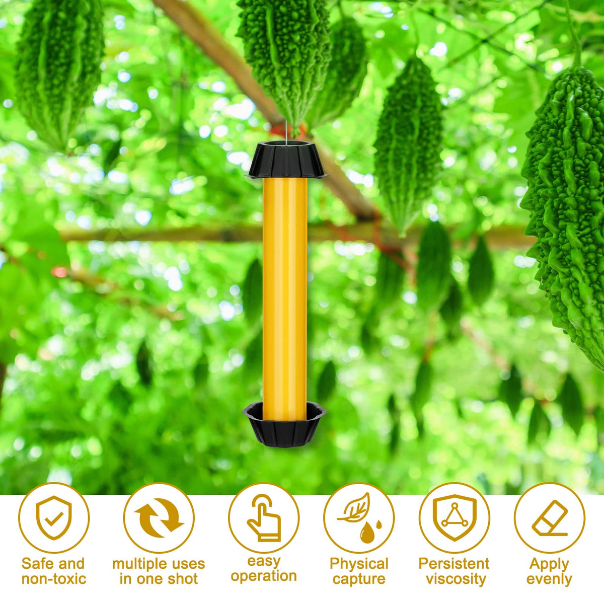 The 10x2.5 inch Qualirey Fly Trap covers a wide area for practical use.