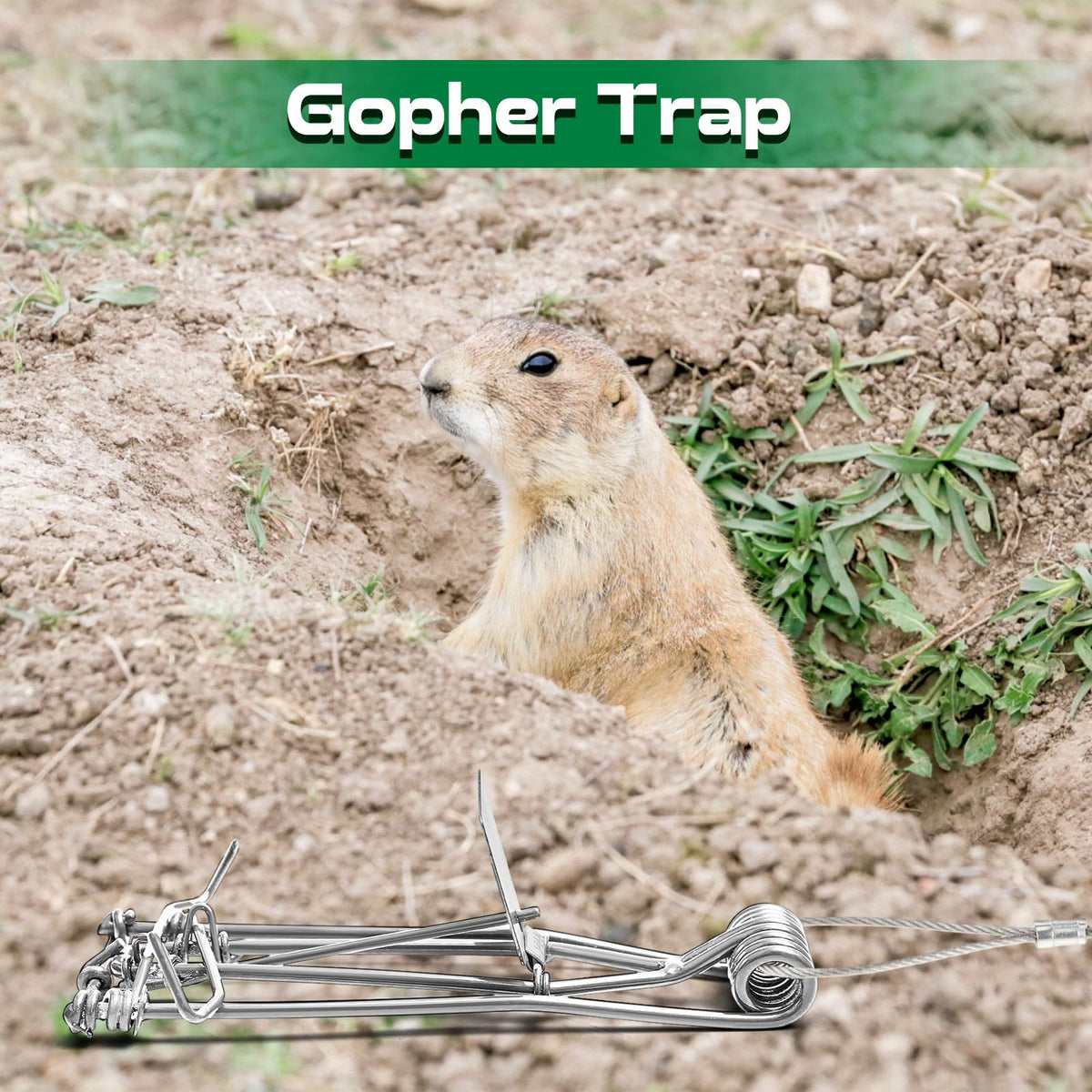 Qualirey garden mole control set for yard pest management
