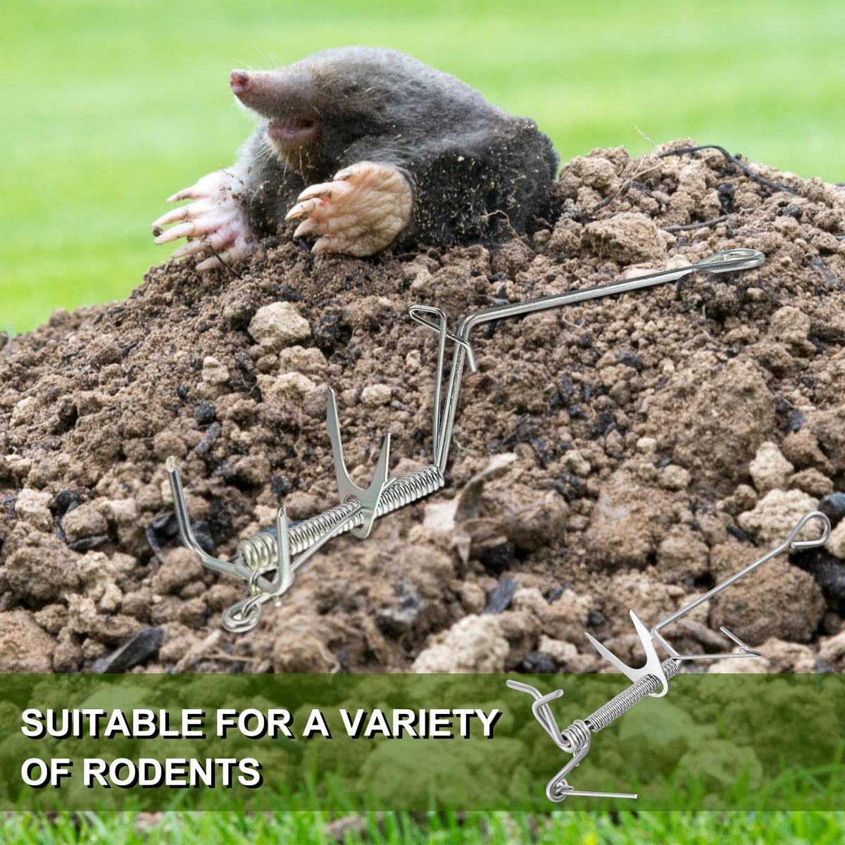 Qualirey garden protection-ready trap safeguards vegetables and seedlings.