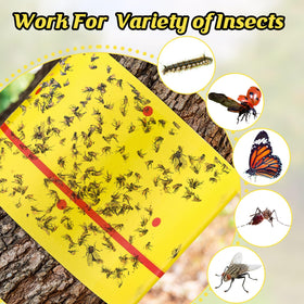Qualirey giant 5in wide sticky trap provides increased surface area for catching insects.