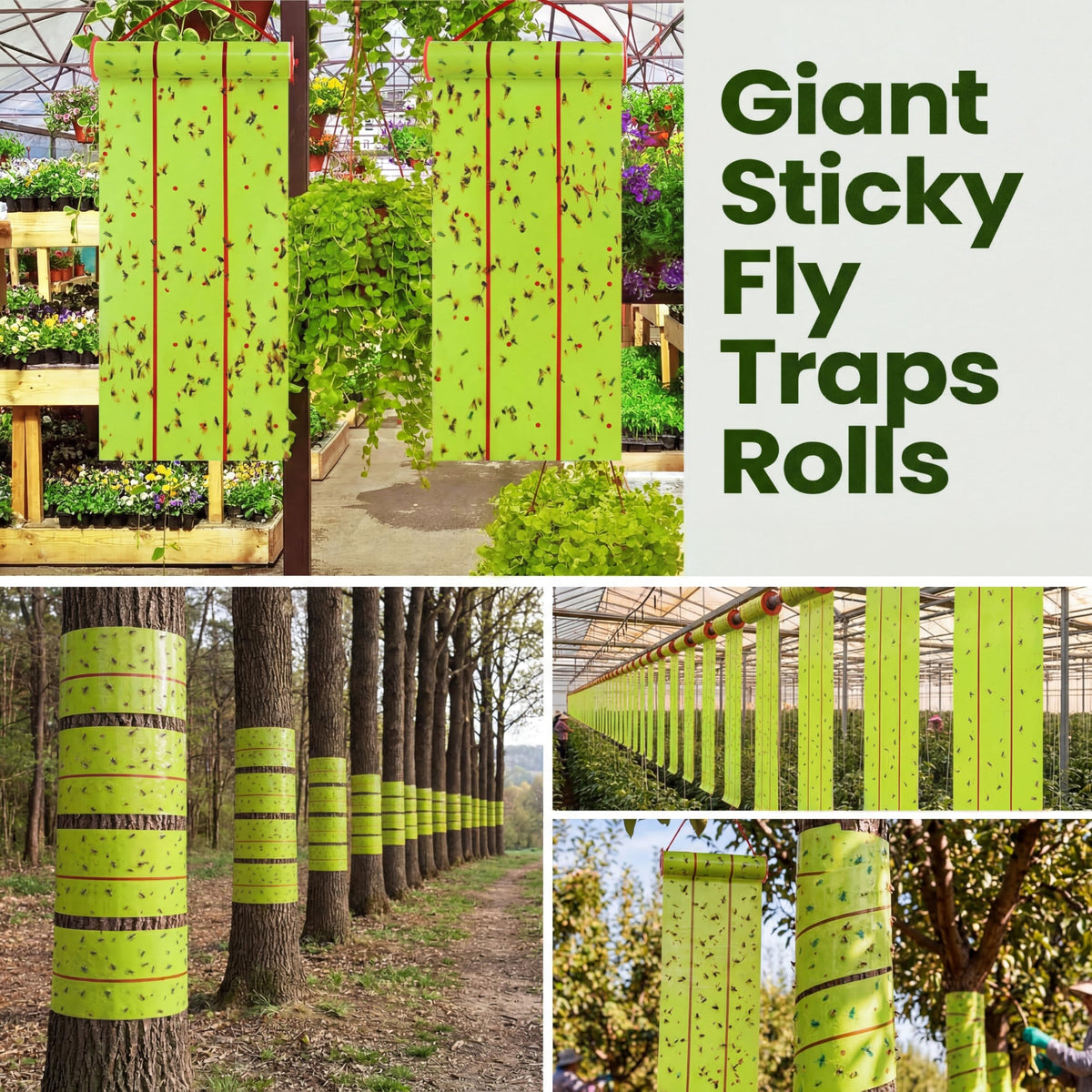 Qualirey giant sticky fly trap for indoor-outdoor use, easily hung