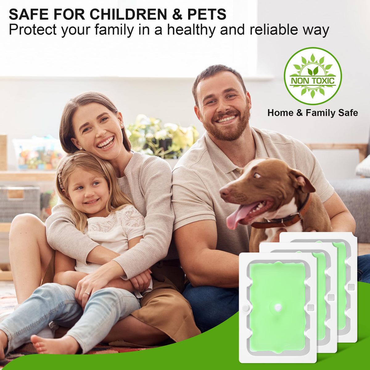 Qualirey 6-pack glue traps placed along walls for high-traffic areas.