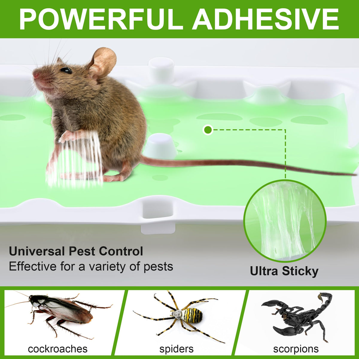 Qualirey non-toxic adhesive trap designed for safe indoor use.