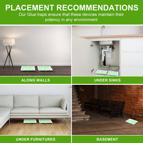 Qualirey glue traps offer versatile indoor pest control options.