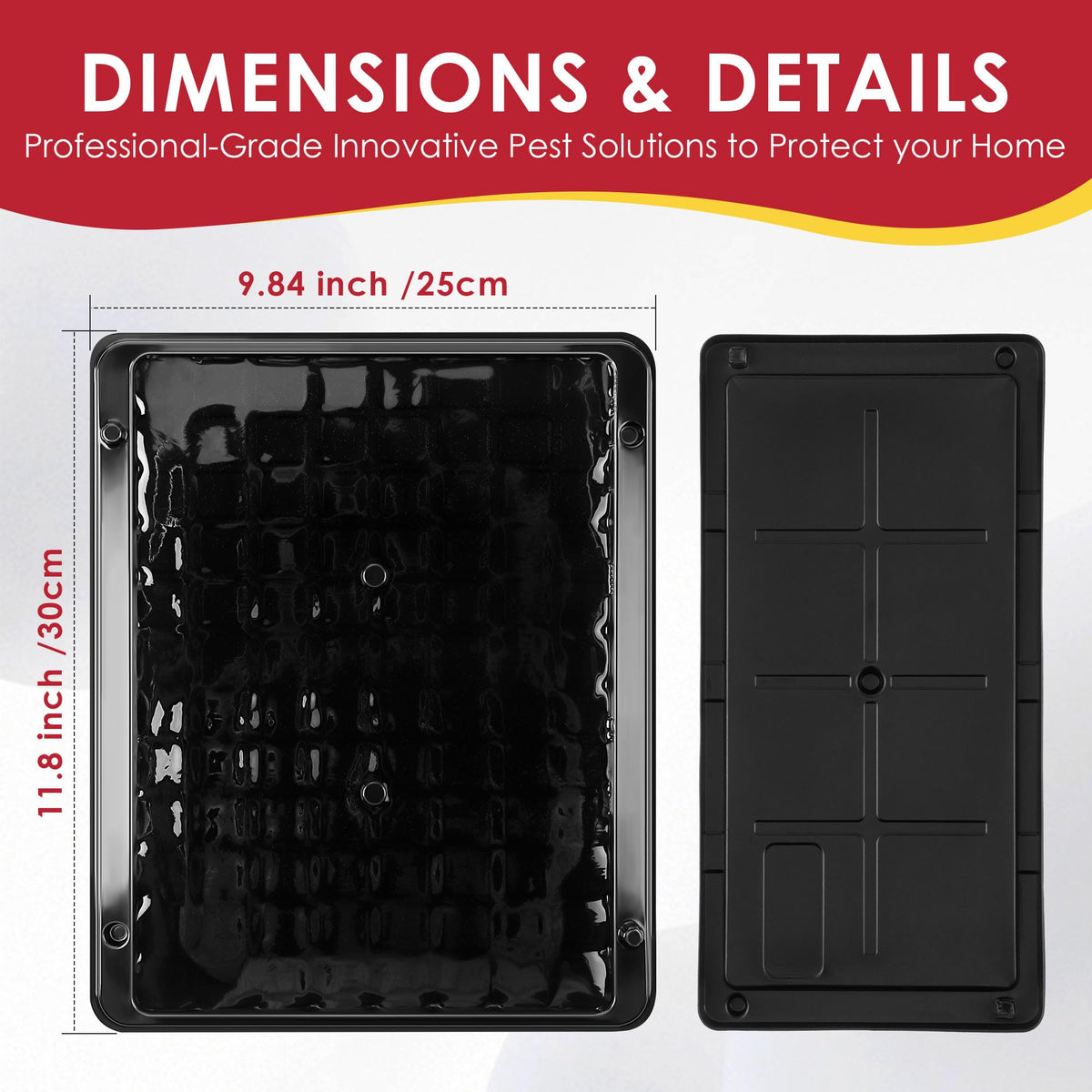 Qualirey glue trap designed for wall-ready placement to maximize contact with passing rodents.