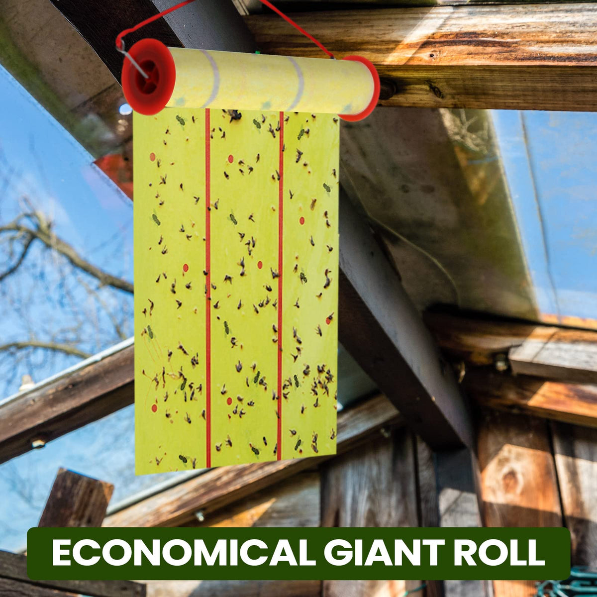 Qualirey non toxic strips offer odorless, pet-friendly pest control.
