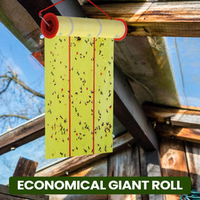 Qualirey non toxic strips offer odorless, pet-friendly pest control.