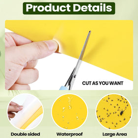 Qualirey gnat trap close-up shows yellow adhesive surface ready.