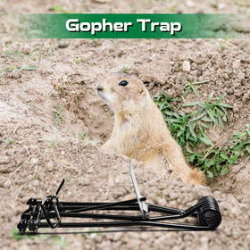 Qualirey gopher trap in a garden protecting plants and vegetables.