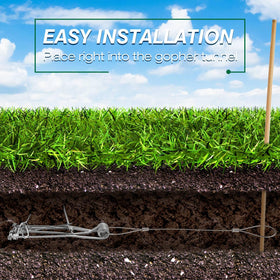 Qualirey gopher trap installed on a lawn for target-area control