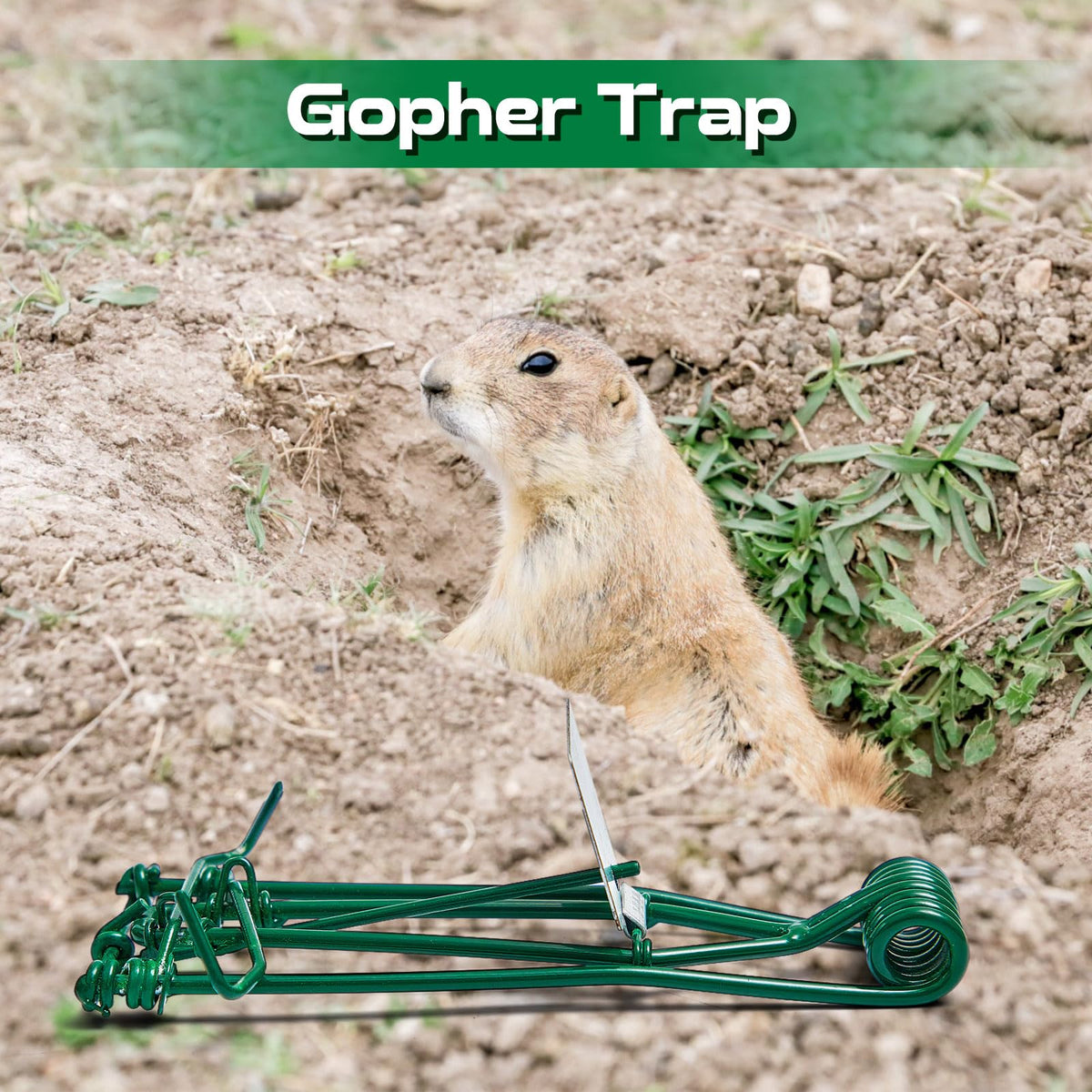 Qualirey gopher trap reusable weather-resistant for long-term use