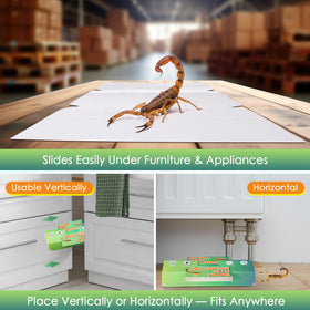 Qualirey green-design trap blends discreetly with home décor.