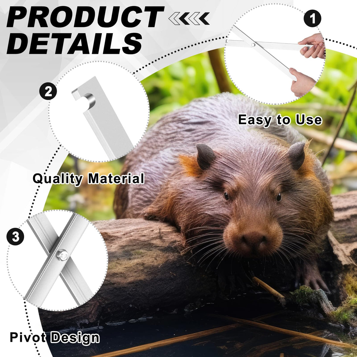 Qualirey groove-press operation aids straightforward trap setting steps