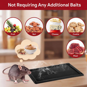 Qualirey heavy-duty sticky traps in pack provide durable pest capture