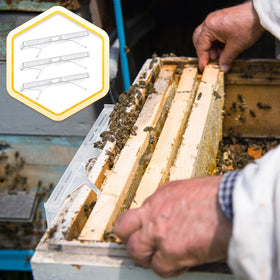 Qualirey hive trap bulk collection suitable for large apiaries.