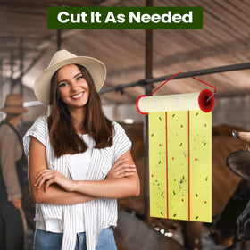 Qualirey fly trap suitable for kitchens, pantries, barns and stables.