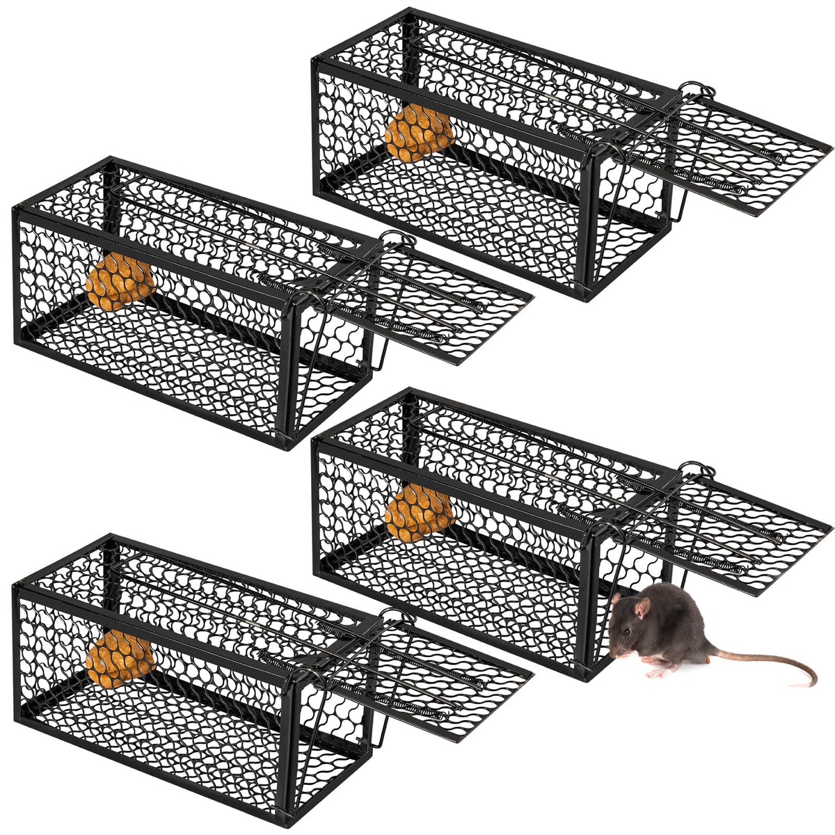 Qualirey humane rat trap cage front view highlights sturdy mesh for durable, repeated use.