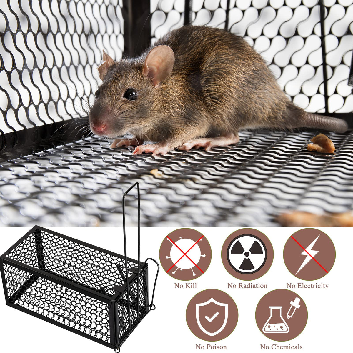 Qualirey humane rat trap cage reusable design supports multiple releases.