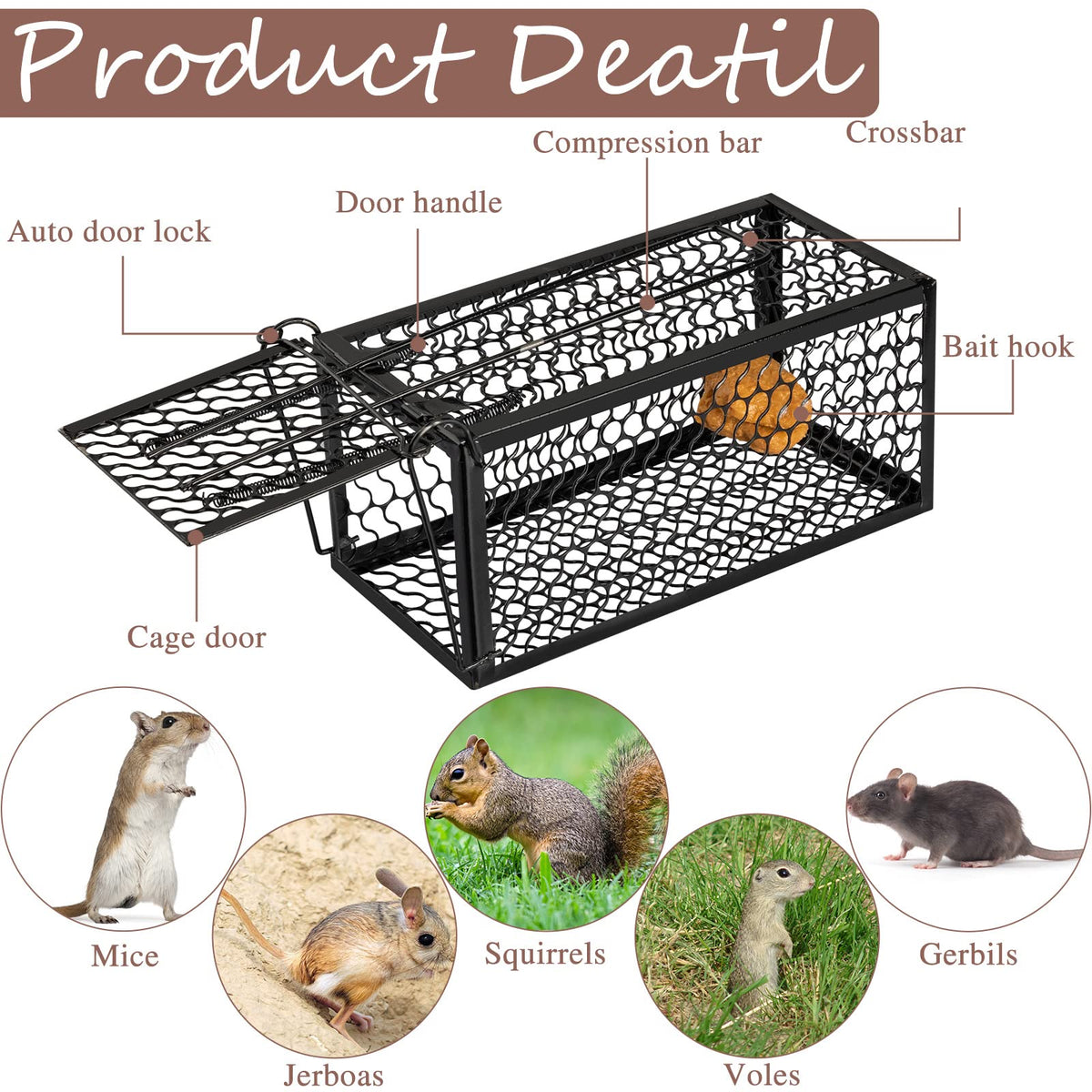 Qualirey humane rat trap cage side view demonstrates compact footprint ideal for corners.
