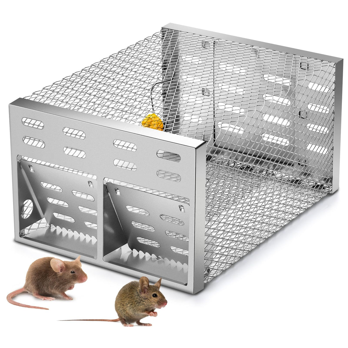 Qualirey humane rat trap double-opening front view for quick live capture.