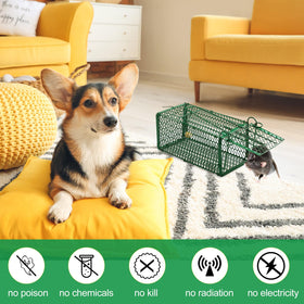 Qualirey 4-pack reusable traps suitable for garages