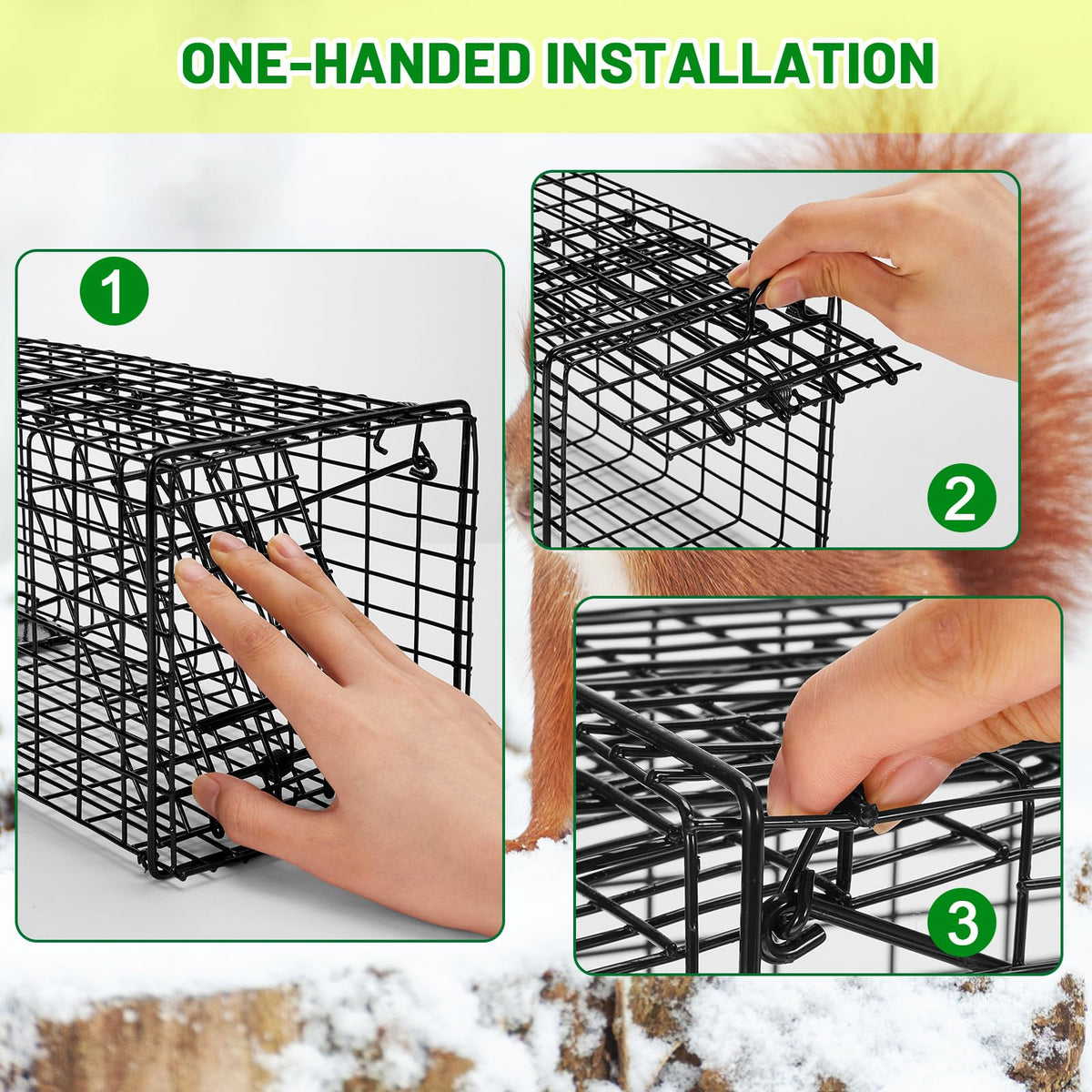 Qualirey trap shown in garden catching small animals humanely
