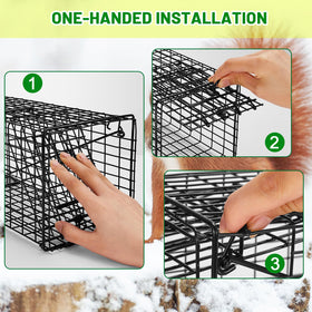 Qualirey trap shown in garden catching small animals humanely