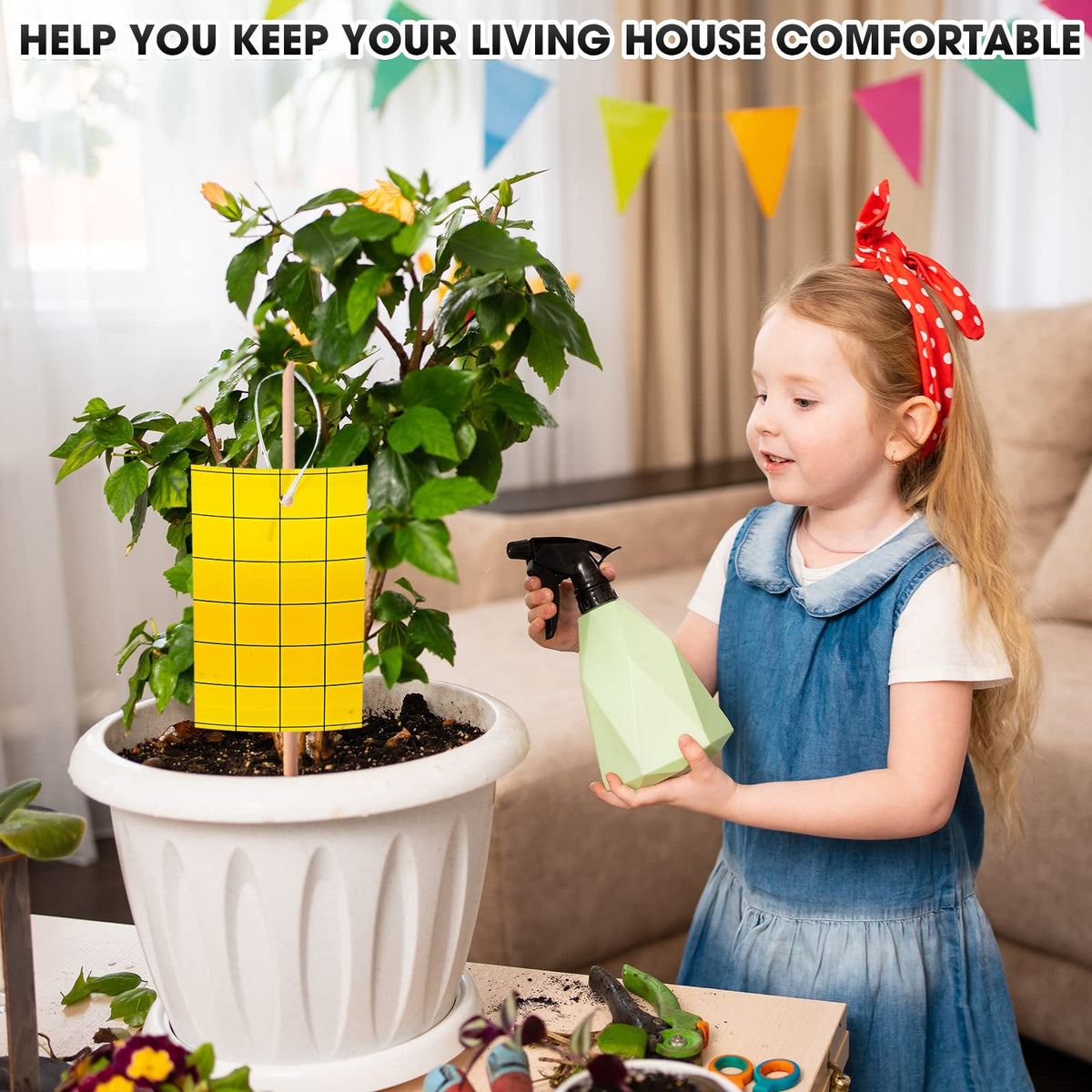 Qualirey versatile trap for indoor and outdoor plant care