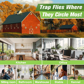 Qualirey indoor-use traps ideal for kitchen, office and other indoor spaces