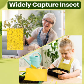 Qualirey indoor-outdoor trap works on patios and greenhouses.