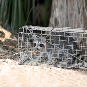 Qualirey trap includes simple instruction manual for setup.