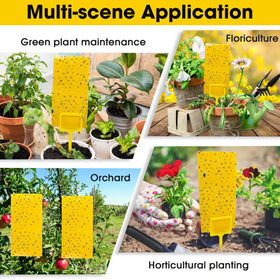 Qualirey kitchen and garden pest traps beside pots and counters