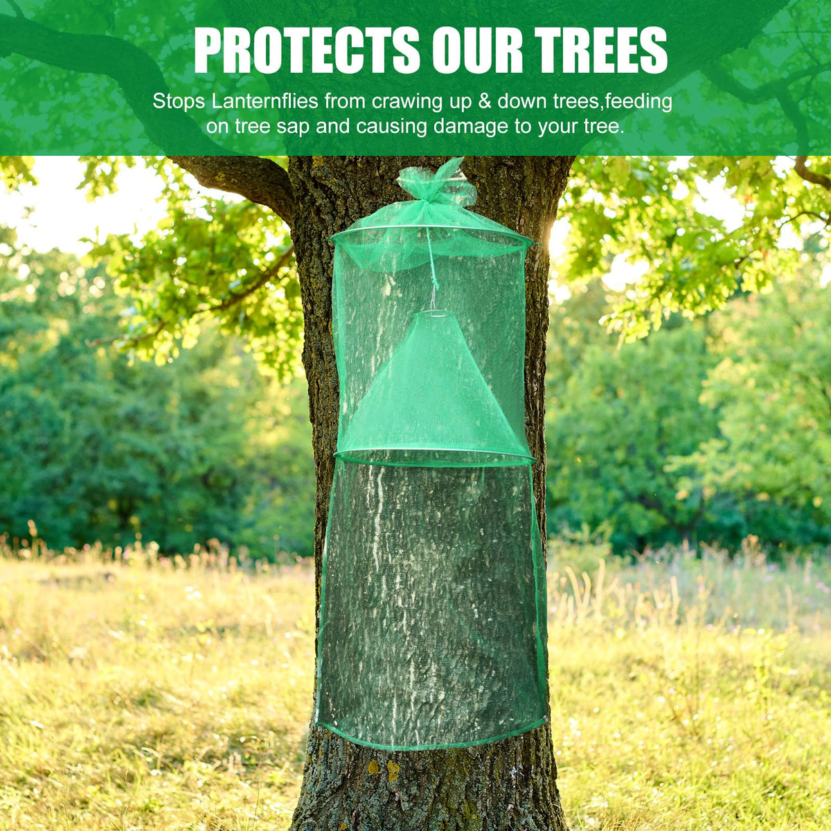 Qualirey lanternfly traps provide non-toxic, bait-free protection.