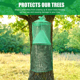 Qualirey lanternfly traps provide non-toxic, bait-free protection.