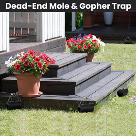 Qualirey lawn garden rodent trap in yard setting demonstrates versatility.