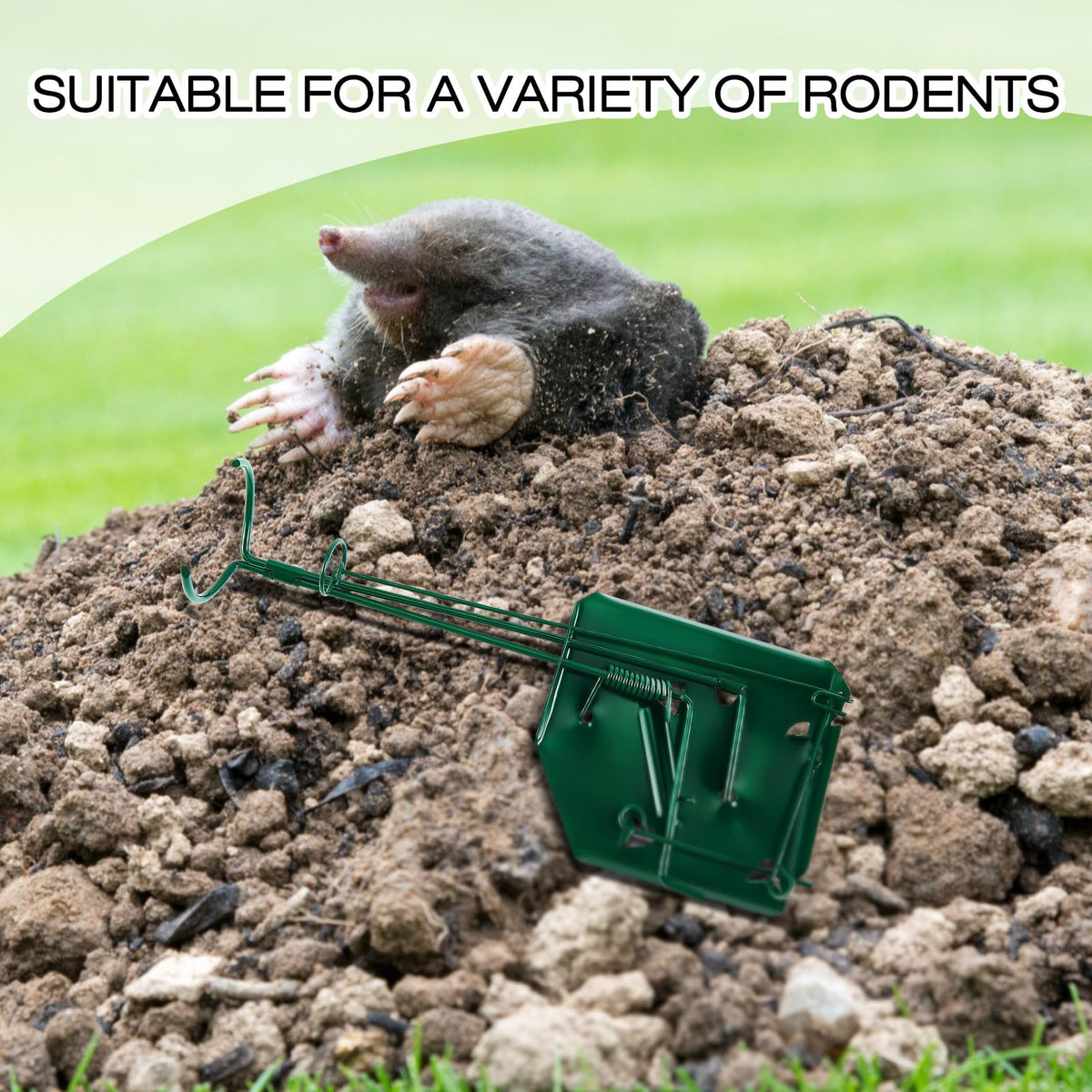Qualirey mole trap with dimensions 30x12 cm for proper fit