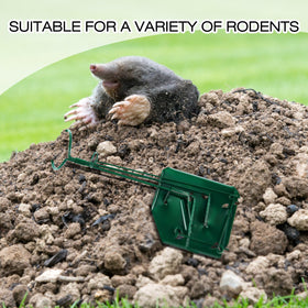 Qualirey mole trap with dimensions 30x12 cm for proper fit