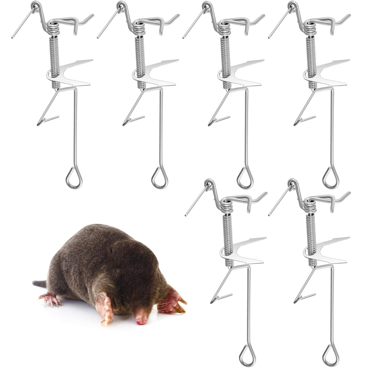 Qualirey mole trap in-ground placement promotes safer, discreet pest control.