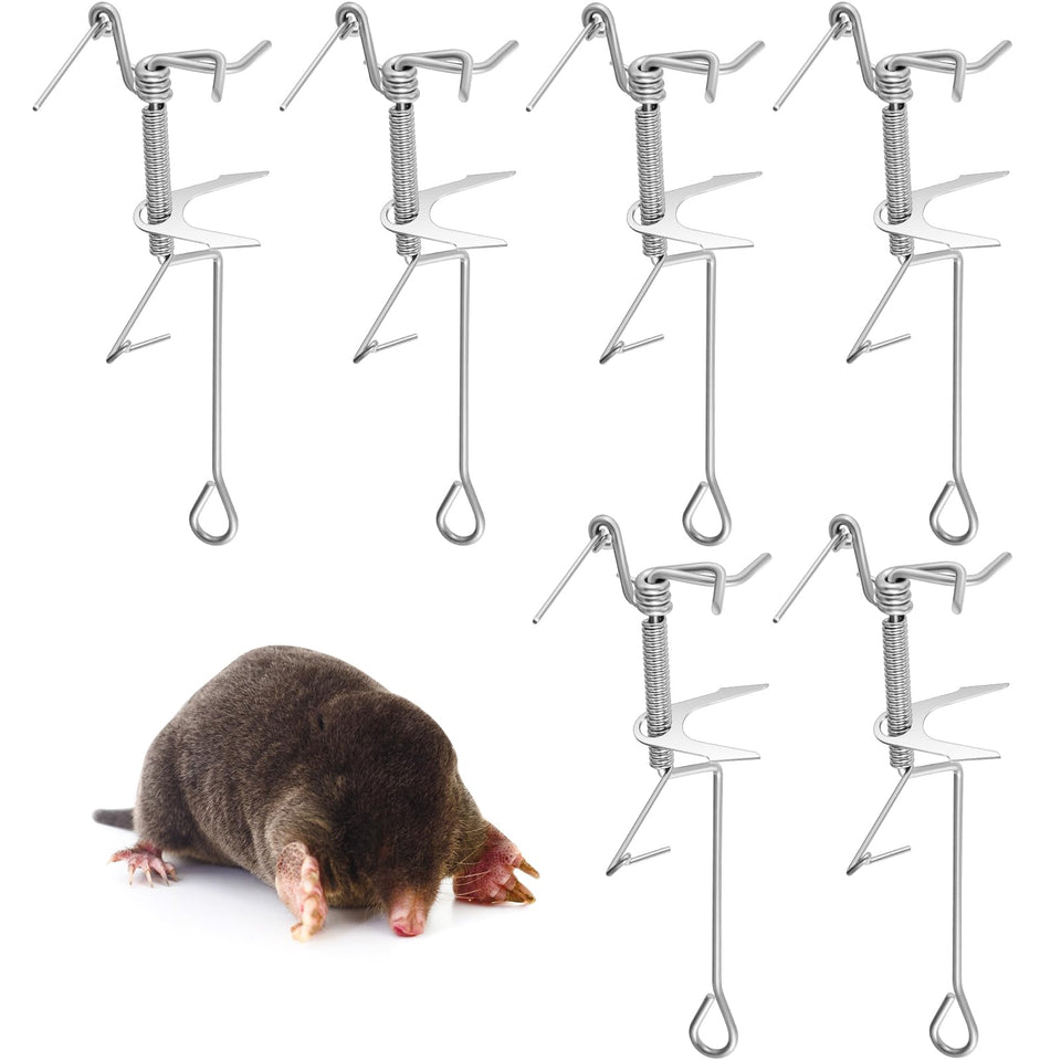 Qualirey mole trap in-ground placement promotes safer, discreet pest control.