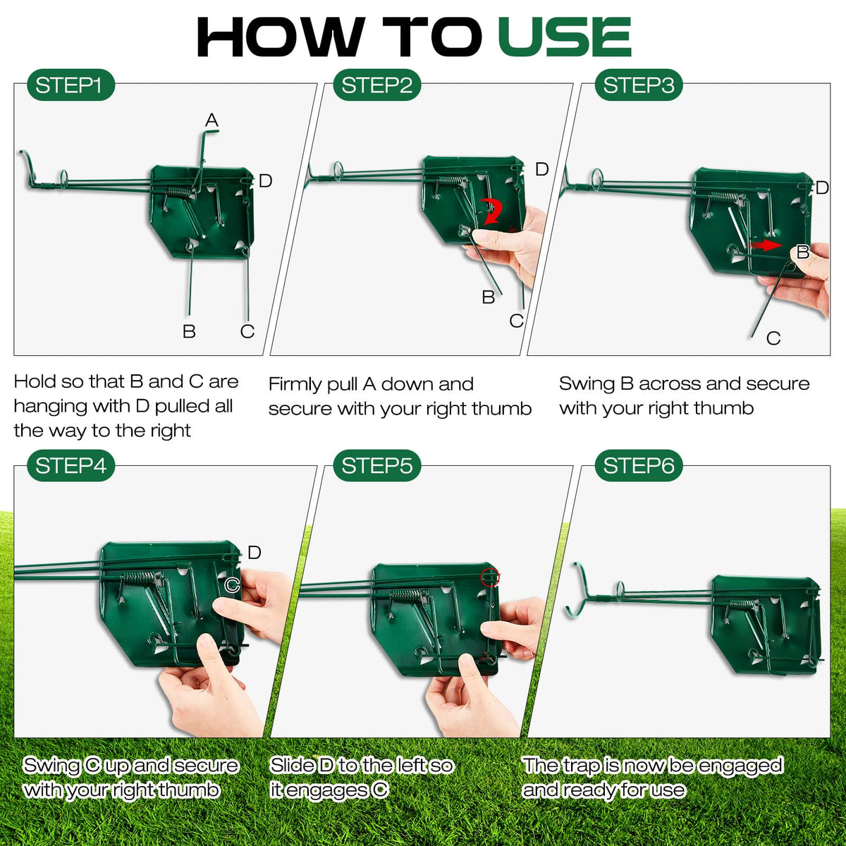 Qualirey trap placed in lawn hole ready for mole or gopher control