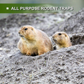Qualirey underground action traps moles without visible disruption.