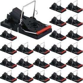 Qualirey 24pc mouse traps bulk pack ready for rapid pest control at home.