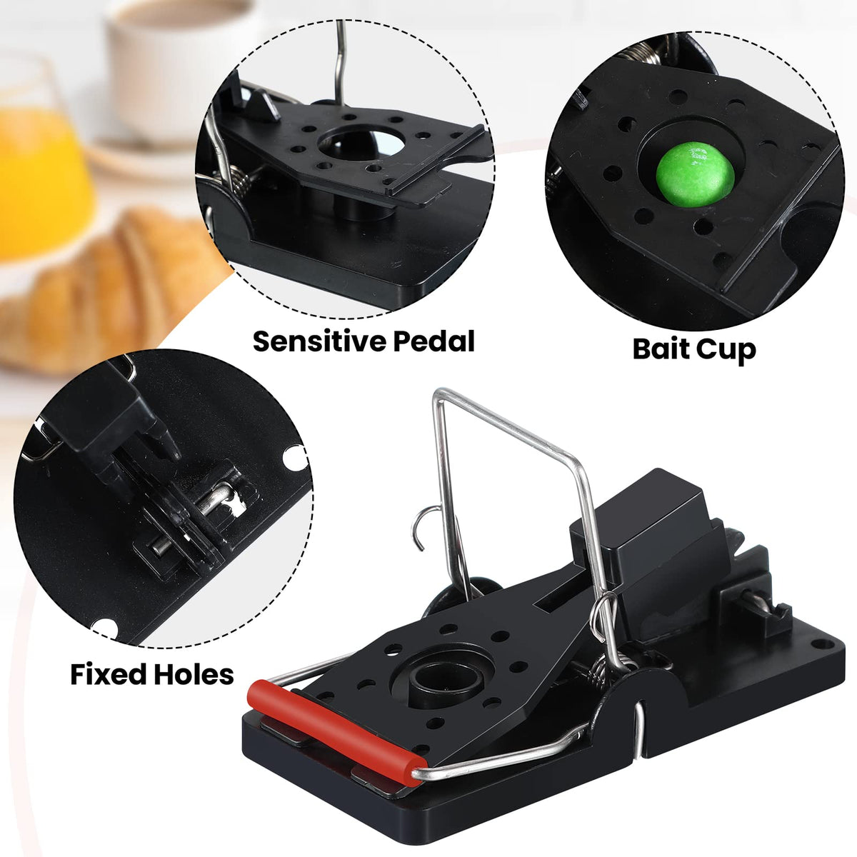 Qualirey mouse trap being set shows simple, safe setup.