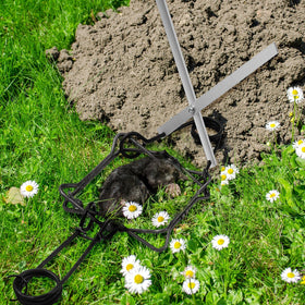 Qualirey multi-animal trapping application suits mink, rats, raccoons and more
